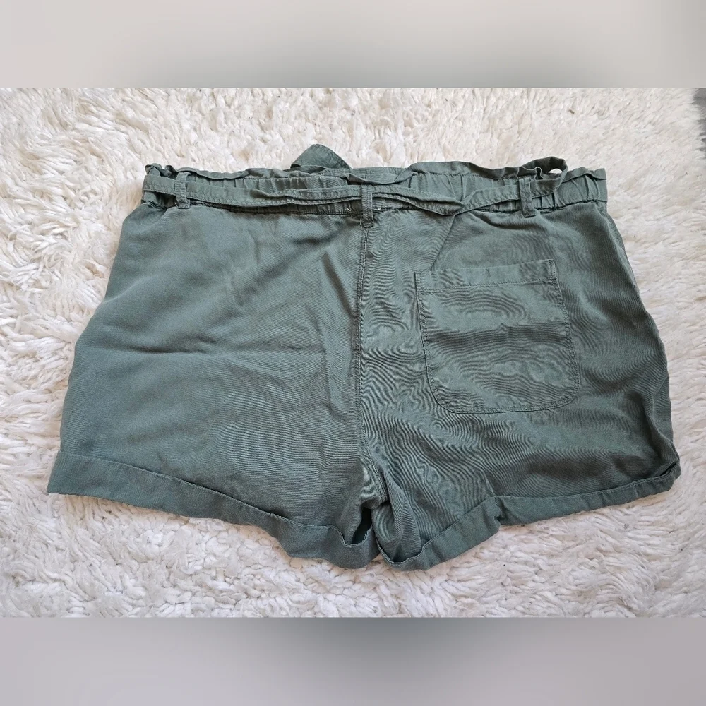 Aerie Women's Green Flowy Shorts